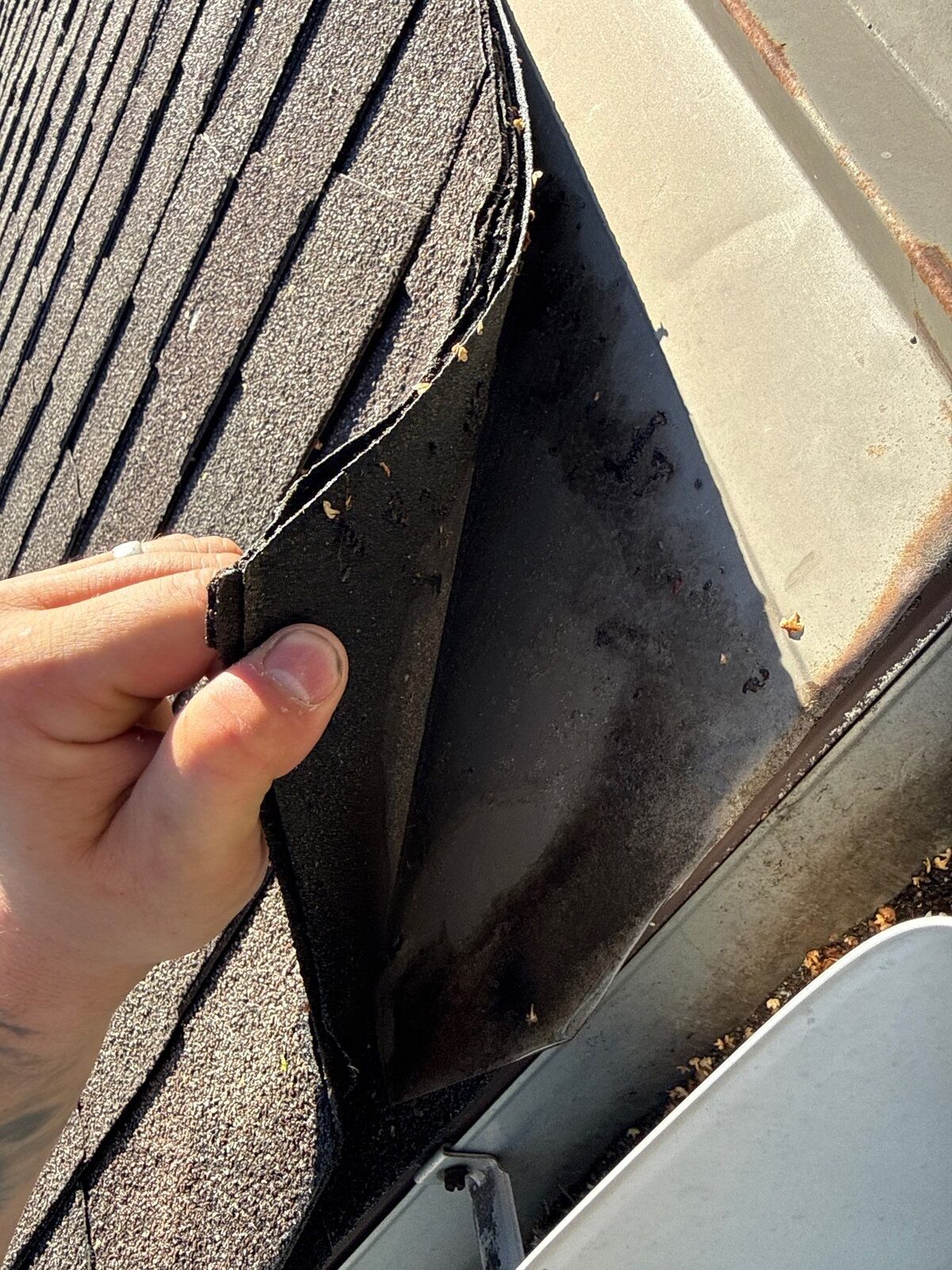 Brittle, cracked shingles lifting at the roof's edge