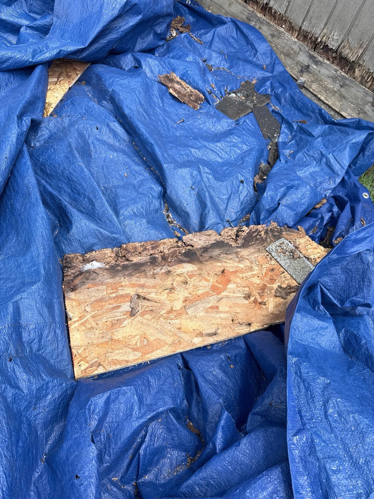 Extensively rotted decking removed from the roof